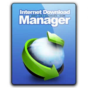 Internet Download Manager (IDM) 6.30 Build 8 & Crack [Latest] Full Version