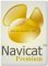 Navicat Premium Crack 12.1.12 + Keygen [2019] Latest Version